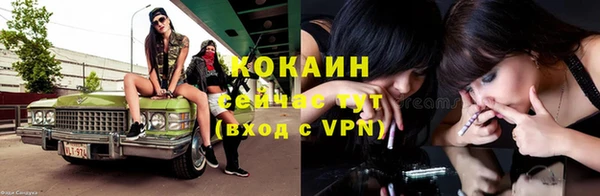ALPHA-PVP Няндома