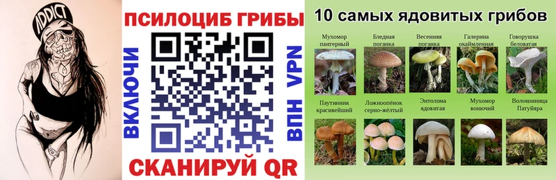 Галлюциногенные грибы ЛСД  Переславль-Залесский 
