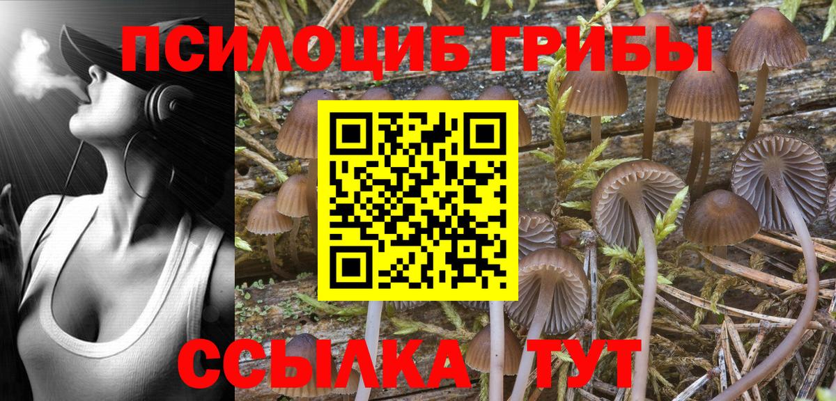 Галлюциногенные грибы ЛСД Переславль-Залесский