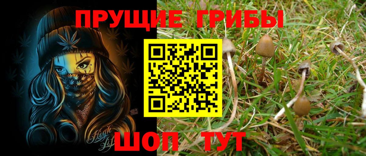 Галлюциногенные грибы прущие грибы Переславль-Залесский