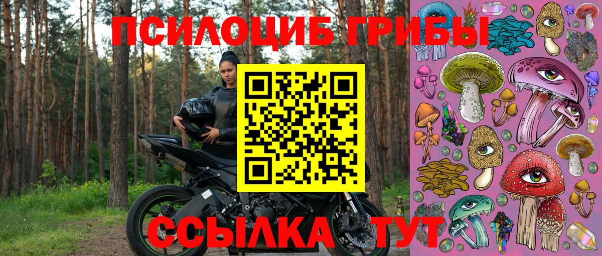 Галлюциногенные грибы Psilocybine cubensis  Переславль-Залесский 