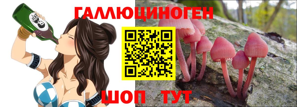 Галлюциногенные грибы мухоморы  Вход с VPN  Переславль-Залесский 